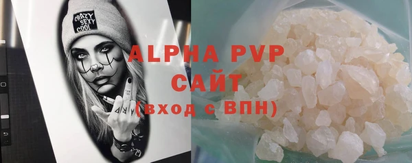 гидра Инта