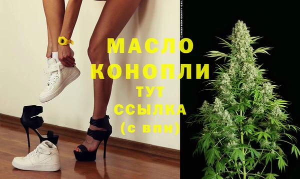 гидра Инта