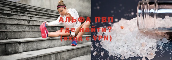 гидра Инта