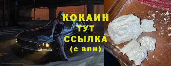 гидра Инта