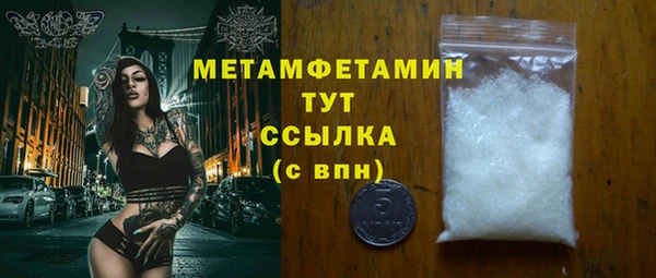 гидра Инта